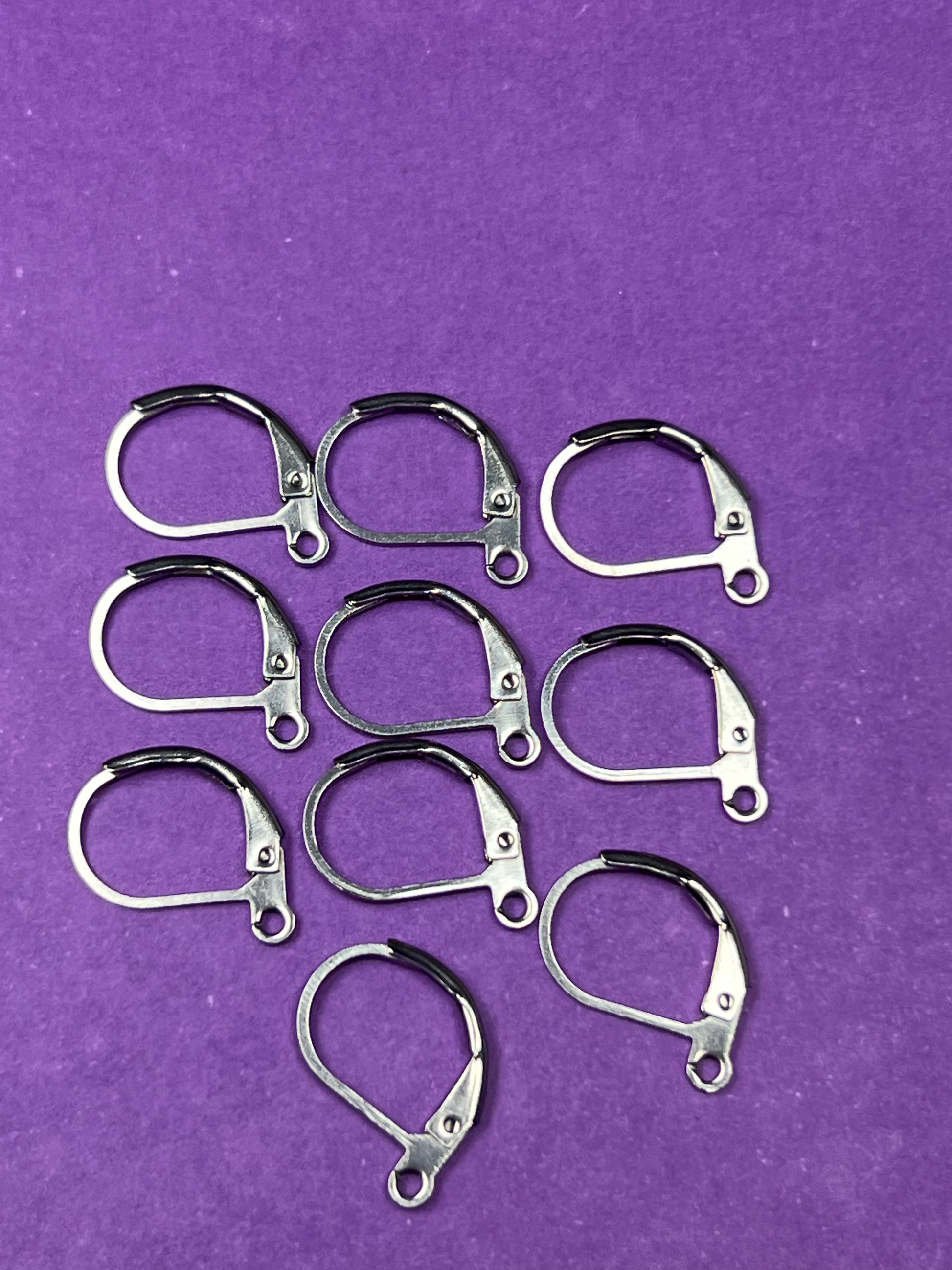 5 Pairs 304 Stainless Steel Leverback Earring Findings with Loops