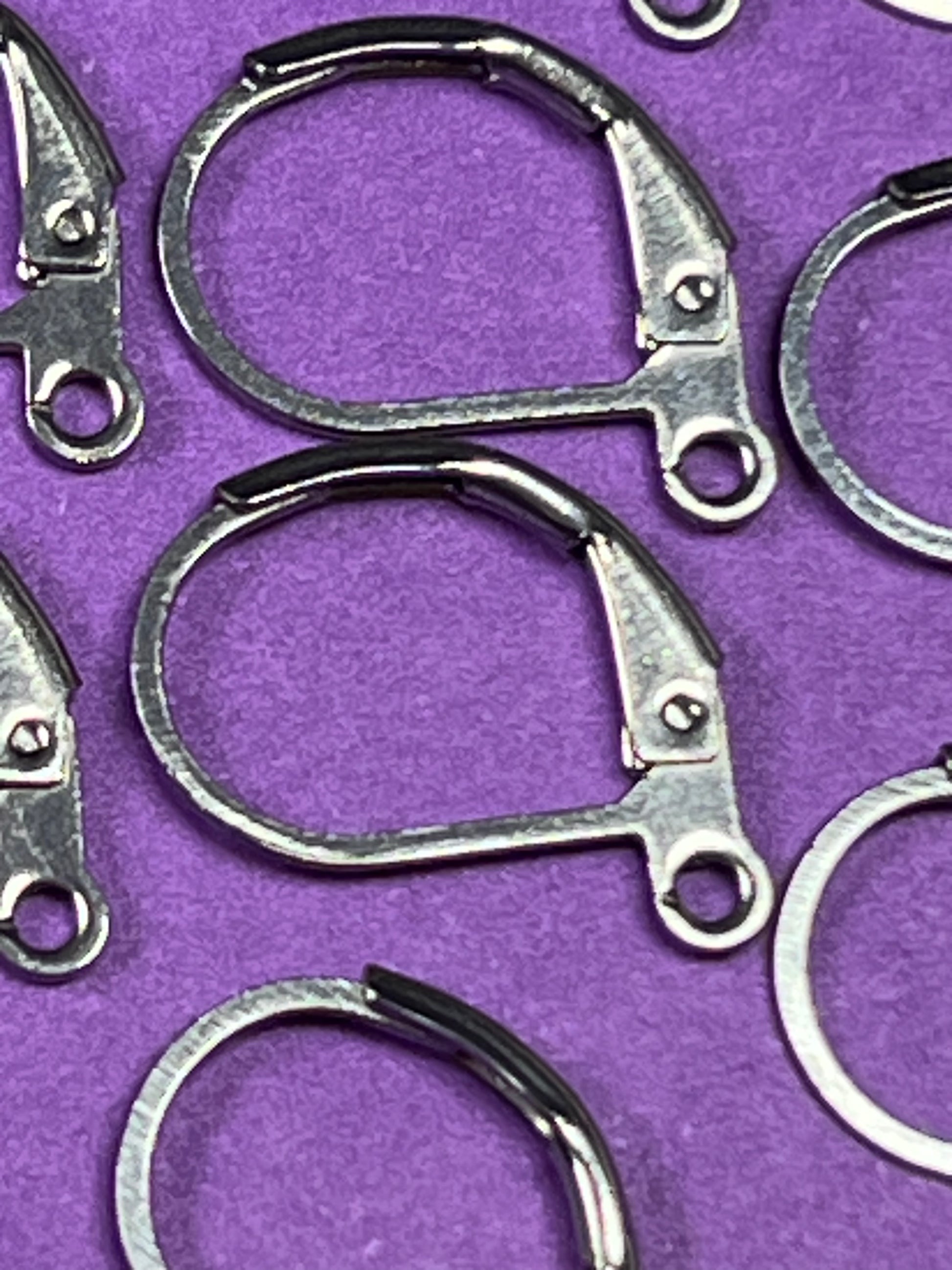 5 Pairs 304 Stainless Steel Leverback Earring Findings with Loops