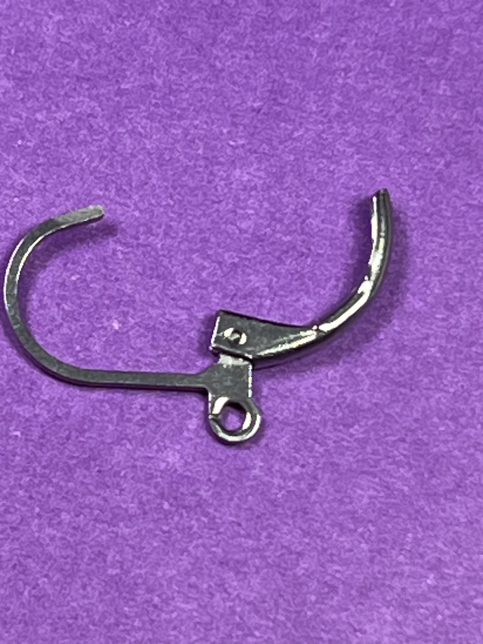 5 Pairs 304 Stainless Steel Leverback Earring Findings with Loops