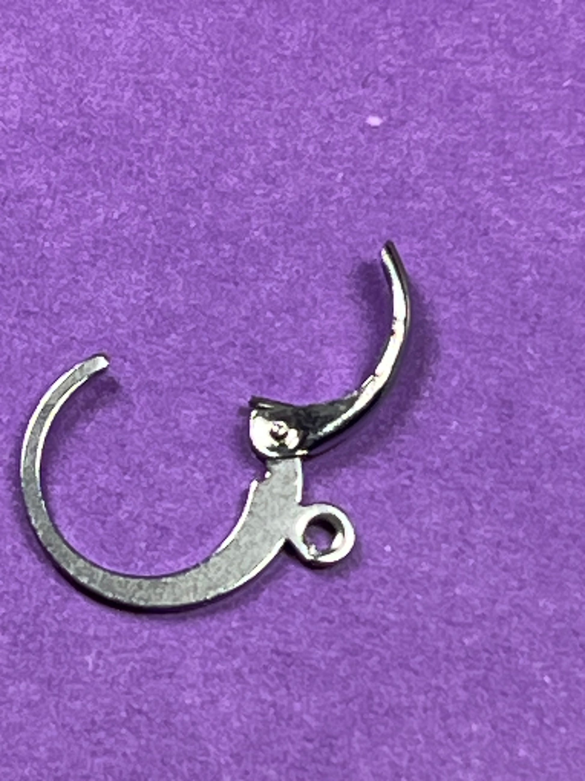 5 Pairs 304 Stainless Steel Leverback Hoop Earring Findings