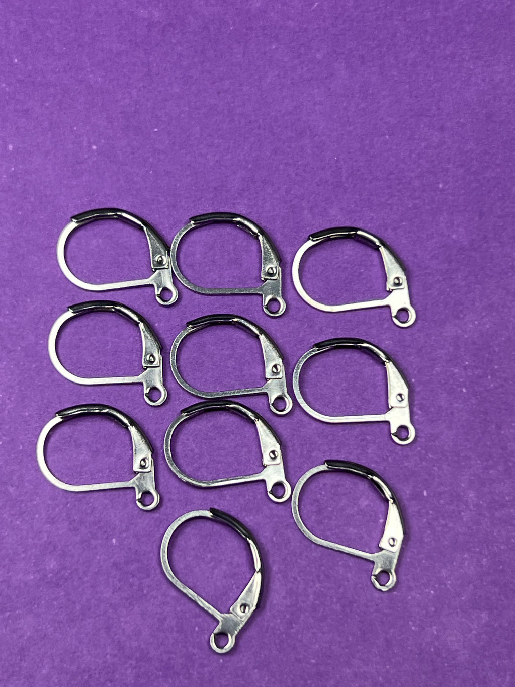 5 Pairs 304 Stainless Steel Leverback Earring Findings with Loops